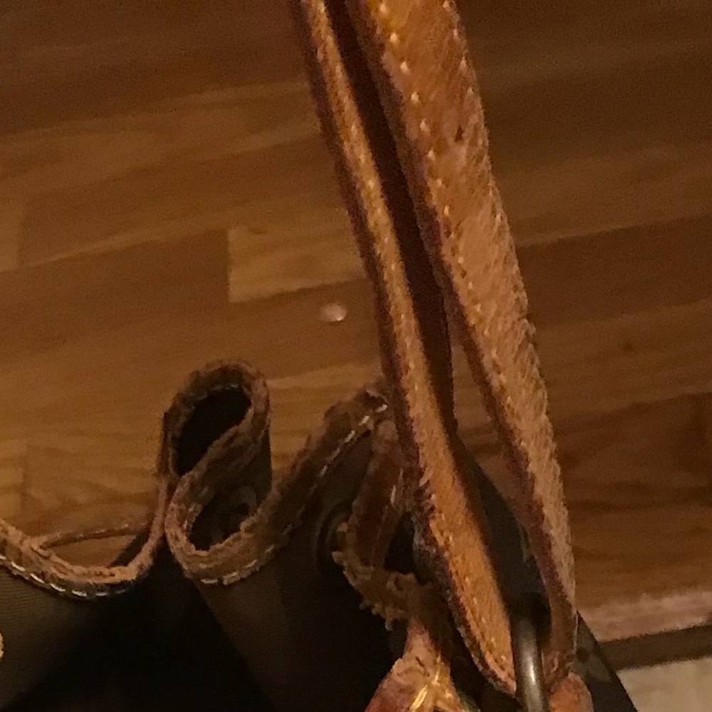 Louis Vuitton bucket bag